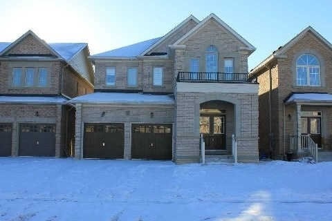 Rental, For Lease, Resale Home, Detached, Finished Basement, Brampton East, L6P preview 1